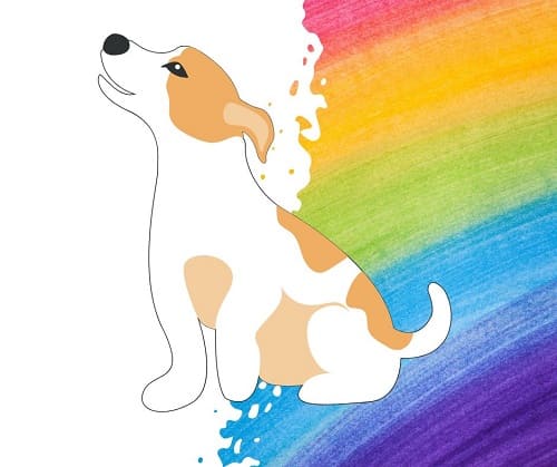 Dog Death Quotes Rainbow Bridge